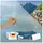 Blumtal Fensterfolie 30x200cm blickdicht & statisch haftend + Rakel - zuschneidbare Sichtschutzfolie Fenster + UV-Schutz - Milchglasfolie selbstklebend Fenster - Folie Fenster Sichtschutz Frosted-Look