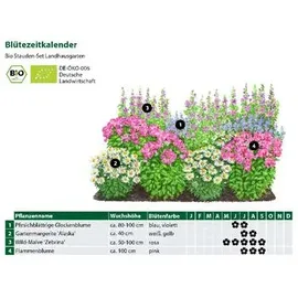 Dehner Bio Stauden-Set 12-teilig, Rosa, Weiß