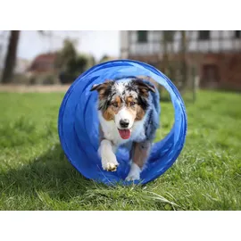 Procyon Agility-Tunnel 50 cm blau
