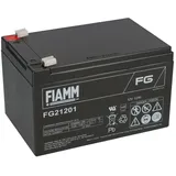 OEM Piombo-batterie 12V 12AH FG21201