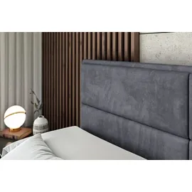 altdecor Boxspringbett AURA-Z KING - 160 x 200 - H3/H4 - Dunkelgrau