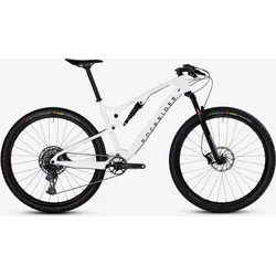 Mountainbike Cross Country 29 Zoll Carbonrahmen Reynolds Race 900S GX Eagle M