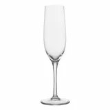 LEONARDO Sektglas Ciao+ 190 ml Glas Transparent Klar