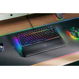Razer BlackWidow V4 75% hot-swap, Razer ORANGE Tactile Gen-3, USB, EN (RZ03-05000400-R3E1)