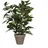 Mica decorations Mica Kunstpflanze Ficus Natasja Grün im Topf 40 cm