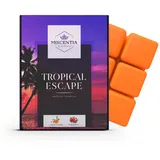 miscentia Duftwachswürfel - Duftwachs für Duftlampe, Teelicht, elektrisch, Geschenkidee, Wax melts, aus Sojawachs, plastikfrei und vegan... (Tropical Escape)