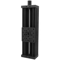 Schraube Slide Lineartisch Aluminiumlegierung 3D-Drucker Grav ierma schine Blei 2mm Schwarz 300mm