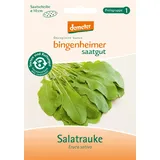 Bingenheimer Saatgut Salatrauke Ruca Saatscheibe demeter