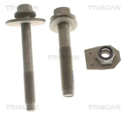 TRISCAN 850016418 für Ford