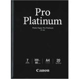 Canon PT-101 Pro Platinum A4 20 Blatt