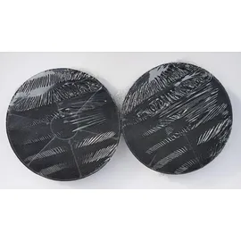 AJS Aktivkohlefilter FR7524 wie PKM CF110 Respekta MIZ0023 Bomann KF561 - 2 Stück - Schwarz