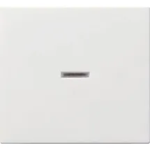 Gira Wippe Kontrollfenster System 55, Reinweiß glänzend