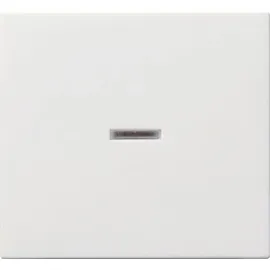 Gira Wippe Kontrollfenster System 55, Reinweiß glänzend