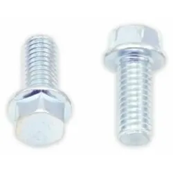 Bolt Inbuskop flensschroef 8mm M6x1x14mm 10 stuks