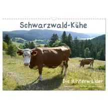 Calvendo Schwarzwald-Kühe - Die Hinterwälder (Wandkalender 2026 DIN A3 quer), CALVENDO Monatskalender: