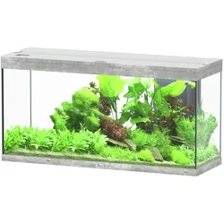 aquatlantis Splendid 240 Steinoptik Aquarium mit Unterschrank Aquarium