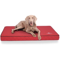 Knuffelwuff orthopädisches hundebett - Unser TOP-Favorit