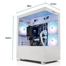 pryon Desktop-PC AMD Ryzen 5 4600G 3,7 GHz 16 GB RAM 1 TB SSD Win 11