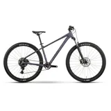 R Raymon Nayta Comp 2026 29 Zoll RH 165-173 cm smoke lavender/black