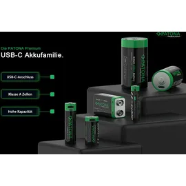 PATONA Premium USB-C AA 24 St.