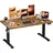JUMMICO Höhenverstellbar Schreibtisch 140 x 60 cm Standing Desk Elektrischer Schreibtisch Höhenverstellbar mit Memory-Funktion,Braun