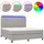 vidaXL Boxspringbett mit Matratze & LED Hellgrau 160x200 cm Stoff