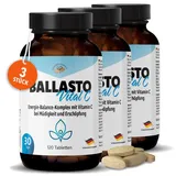 GOLDEN PEANUT Energie-Stoffwechsel 3x 120 Tabletten mit Maca Pulver, Flohsamenschalen, Inulin, Apfelpektin und Vitamin C, Ballaststoff Komplex