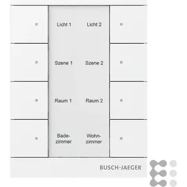 Busch-Jaeger Temperaturregler SB-F-8,0,11-84