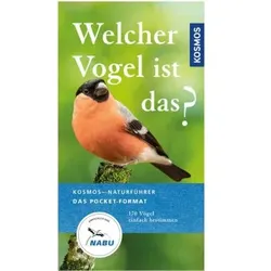 NOBBY Volker Dierschke, Welcher Vogel ist das?