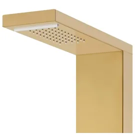 vidaXL Duschpaneel-System Edelstahl 201 Golden