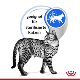 Royal Canin Indoor Sterilised in Jelly 12 x 85 g