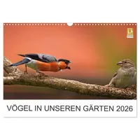 Calvendo Vögel in unseren Gärten 2026 (Wandkalender 2026 DIN