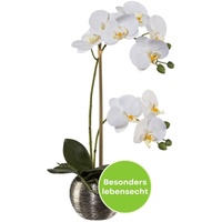 CREATIV green stilvolle Phalaenopsis Kunstorchidee 42cm in weiß I künstliche Orchideen wie echt mit Silber-Topf & naturgetreuen Blüten I Real Touch täuschend echte Kunstblumen