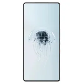 nubia REDMAGIC 10 Pro 12 GB RAM 256 GB Shadow
