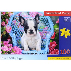 Castorland French Bulldog Puppy, Puzzle 100 Teile
