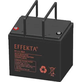 EFFEKTA BTL 12-75LX 12V 75000 mAh 1 St.