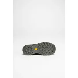 Lowa Renegade Evo GTX LO Herren Schwarz/Graphit 41