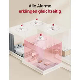 X-Sense Smart Rauchmelder XS01-M mit SBS50 Basisstation,