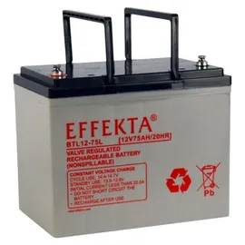 EFFEKTA BTL 12-75LX 12V 75000 mAh 1 St.