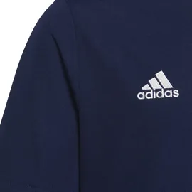 adidas Entrada 22 Trikot Kinder tenabl 116