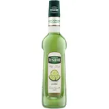 Teisseire Mathieu Mathieu Teisseire Getränke-Sirup Gurke 0,7L (1er Pack)