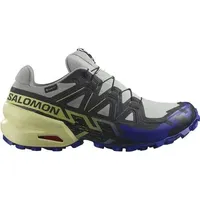 SALOMON Herren Trailrunningschuhe SHOES SPEEDCROSS 6 GTX Wrought Iron/Clem, Größe 49 1⁄3 in Grün Wrought Iron/Clematis Blue/Sharp Gr