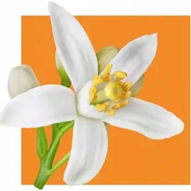 Acorelle Be Positive Eau de Parfum 15 ml