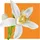Acorelle Be Positive Eau de Parfum 15 ml