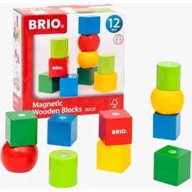 BRIO Magnetische Holzbausteine (30435)