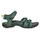 silver pine 38