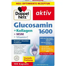 Doppelherz Glucosamin 1600 + Kollagen + MSM + Hyaluron Kapseln 100 St.