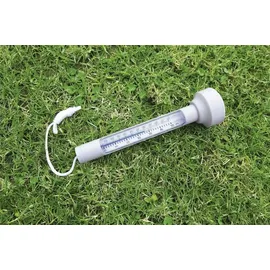 BESTWAY Pool-Thermometer grau 0,25 m