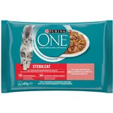 PURINA ONE STERILCAT Katzenfutter nass, zarte Stückchen in Sauce für sterilisierte Katzen, mit Lachs, 12er Pack (12 x 4 à 85g)