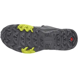 Salomon X Ultra 4 Gore-Tex Herren Quiet Shade / Black / Evening Primrose 44